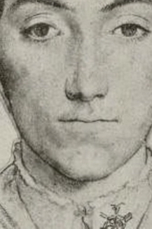 posterbild%20schwerkraft%201